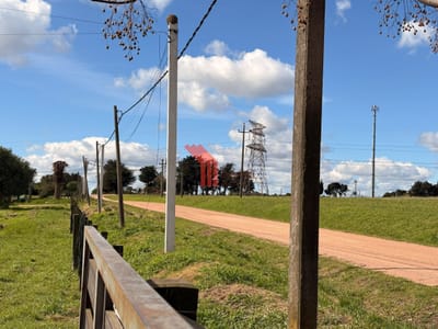 Venta campo 4 has, casa, galpón, agua, Melilla