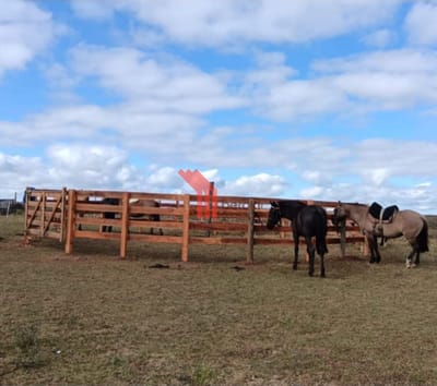 venta campo de 10hs Maldonado, Rincon de Los Ignacios