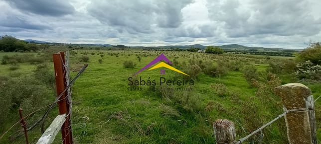 Venta chacra de 10 hectáreas, Pan de Azúcar, Piriápolis, Maldonado