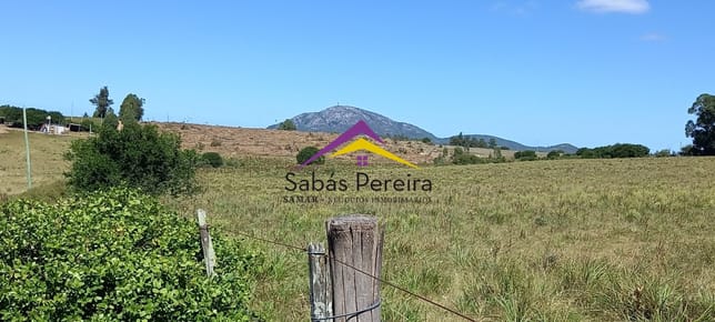 Venta Chacra 18ha con casa sobre ruta 9, Pan de Azúcar, Maldonado