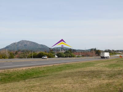 Venta chacra sobre ruta 9 de 2há, Pan de Azucar, Maldonado