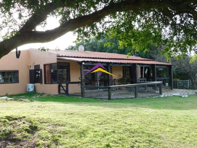 Venta chacra con casa sobre ruta 60 de 20há, Lavalleja.