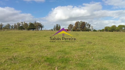 Venta de Chacra sobre la Ruta 39