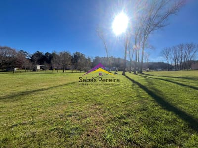 Terreno en Verdemora en Venta - Punta Ballena