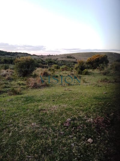 Campo Cerro Aspero Rocha