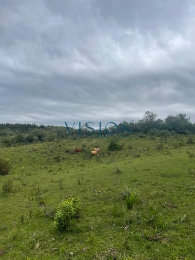 Chacra en Los Cerrillos