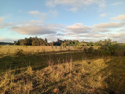 Chacra Ciudad de Rocha