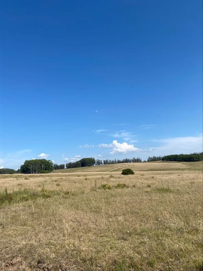 Chacras en Venta - Jose Ignacio