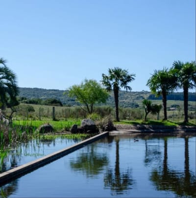 SE VENDE Exclusiva Posada de Campo en Mariscala, 32 Ha