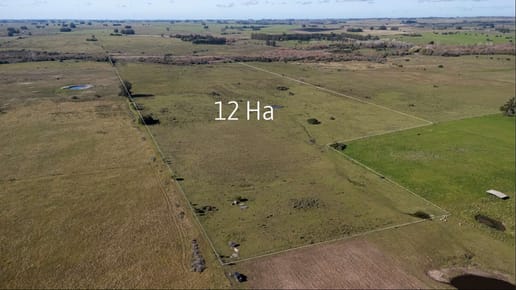 Chacra De 12 Hectáreas Con Cañada A 16 Km De San Carlos