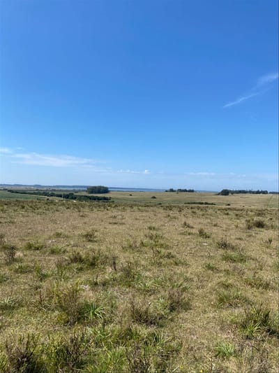 Venta Chacra José Ignacio