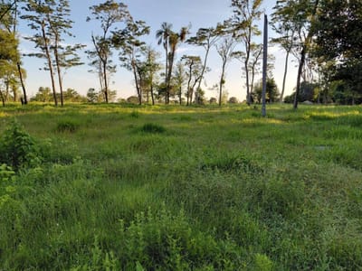 VENDO 46 HECTAREAS CAAGUAZU 