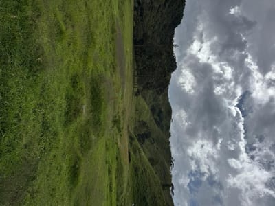 Vendo lotes Oxapampa 