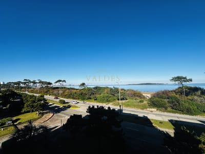 alquiler anual punta del este