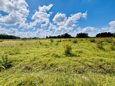 Venta Chacra con Casa 4 dormitorios Camino a la Pataia