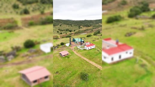 Campo en venta | Olivares en producción y renta eólica | A 55 km de Punta del Este