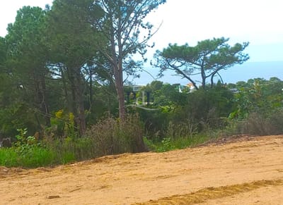 Terreno en venta en Punta Ballena!!