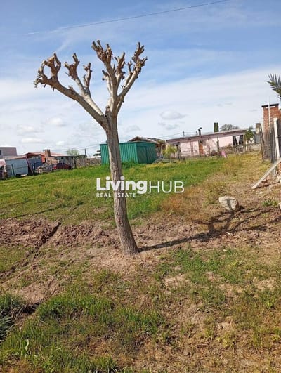 TERRENO EN BARRIO LOS ALGODONES, COLONIA