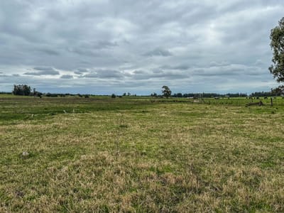 Campo en venta en San José de Mayo con 5 Has