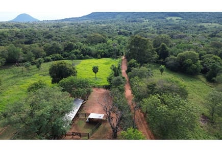 Campo en venta Ybycuí