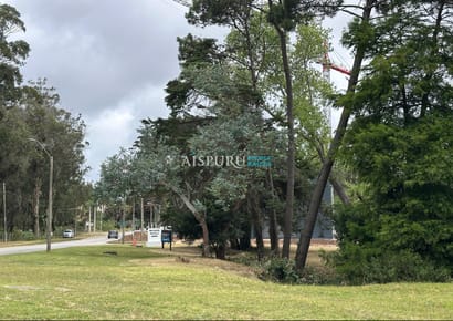Terreno en Pedragosa Sierra.
