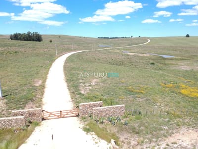 Chacra en Venta - Entorno José Ignacio