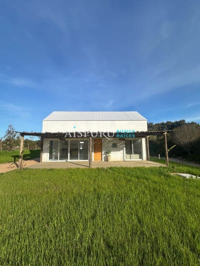 Casa Atenea II