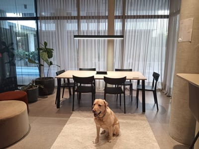 LA BLANQUEADA APARTAMENTO 1 DORMITORIO A ESTRENAR