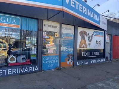 Se vende excelente propiedad con renta - Av. Aiguá y Belén, Maldonado