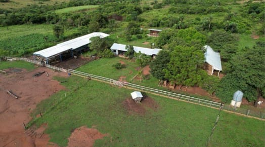 En venta ESTANCIA GANADERA ubicada en el Distrito de Caapucu