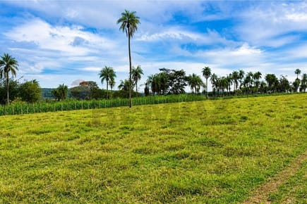 VENDO GRANJA PRODUCTIVA EN ISAL PUCU CORDILLERA