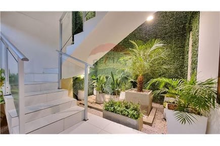 Oficina - Alquiler - Villa Aurelia
