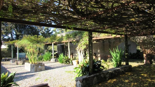 VIEJA BODEGA RECIENTEMENTE RECICLADA, EN EL CAÑO