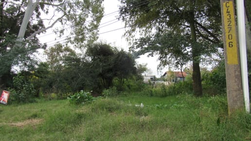 TERRENO EN REAL DE SAN CARLOS, CALLE TACUABÉ