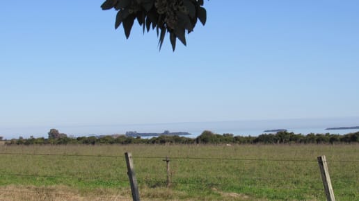 2 HAS CON VISTA AL RIO, EL CAÑO