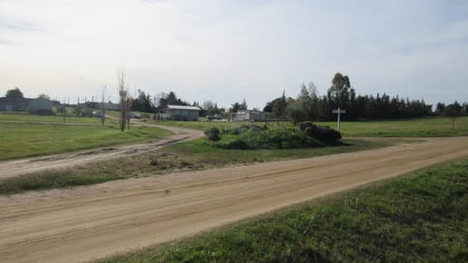 TERRENO EN ALTOS DE SAN CARLOS