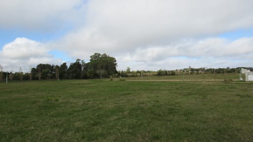 TERRENO EN ALTOS DE SAN CARLOS, EN ALTURA