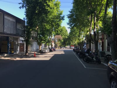 GRAN LOCAL COMERCIAL POR CALLE RIVERA, A POCOS METROS DE AV. PRINCIPAL