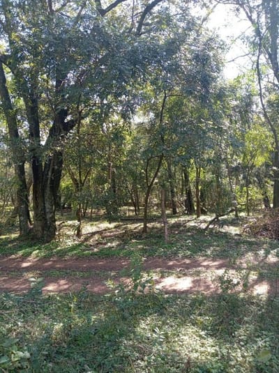 En venta terreno en la Ciudad de Altos Cordillera