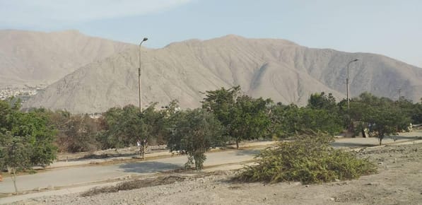 Remato Terreno Urbano en Condominio Exclusivo en Huampaní, 323 m²