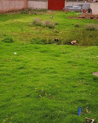 Terreno en venta en Saylla