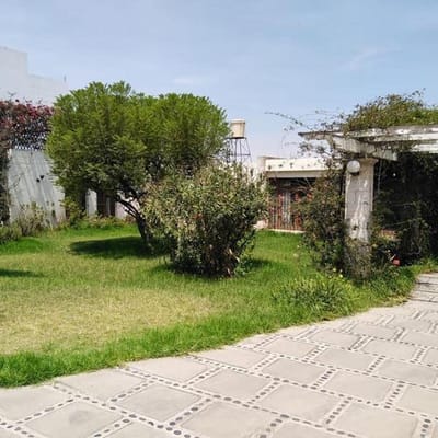 AMPLIOS TERRENOS EN VENTA IDEAL PARA PROYECTO INMOBILIARIO EN CAYMA!