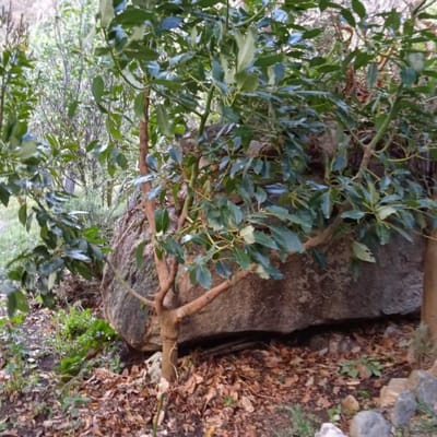 SE VENDE HERMOSO TERRENO