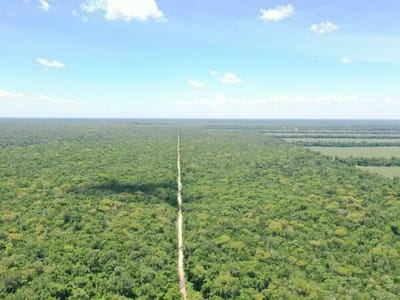 VENDO CAMPO DE 10.500 HECTÁREAS