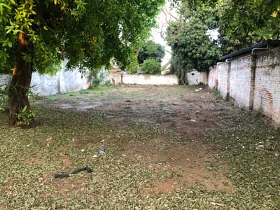 Sen vende terreno en el centro de Luque (420 M²)