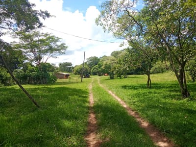 16 hectáreas en venta en barrero grande Eusebio ayala 
