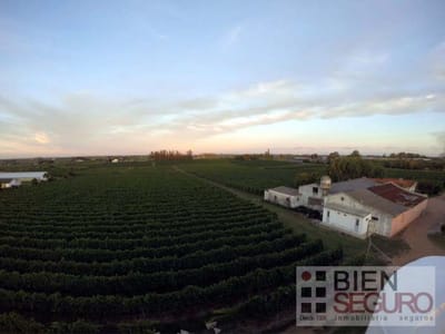 Gran terreno de 11,7 hás, Bodega, viñedo y 2 casas en venta en Camino de las Colmenas, próx. a Toled