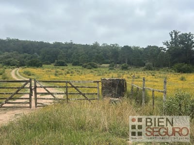 Chacra en venta en Punta Ballena