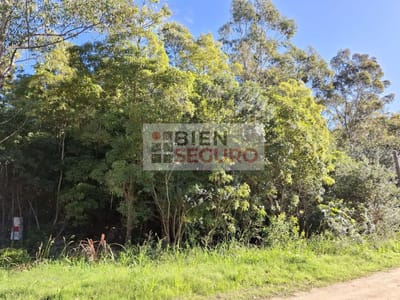 Dos terrenos baldíos en venta en Punta Ballena