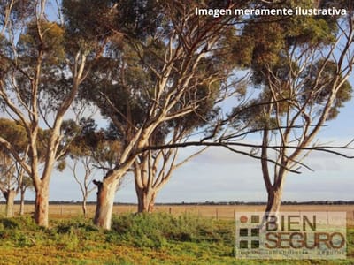 Terreno baldío de 594m2 en venta en Punta Ballena